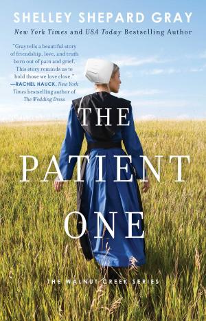 Book cover of The Patient One