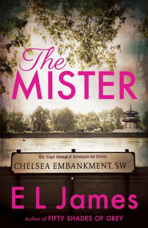 Cover of the book The Mister by Ian Johnson