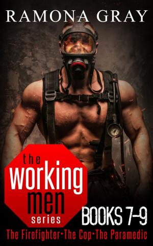 Cover of the book Working Men Series Books Seven to Nine by Marianne Dora Rose