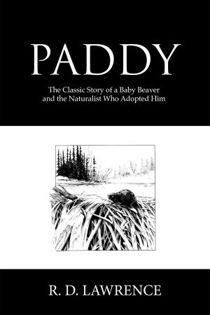 Book cover of Paddy