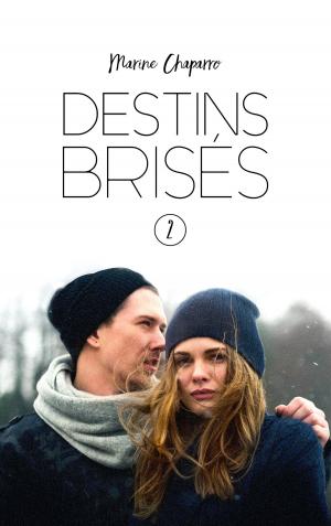 Cover of the book Destins brisés - Tome 2 by John Flanagan