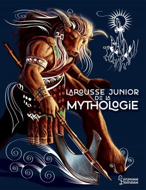 Cover of the book Larousse junior de la Mythologie by Emilie Gillet