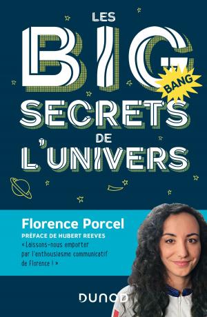 Cover of the book Les BIG secrets de l'Univers by Jacqueline Phélip, Maurice Berger