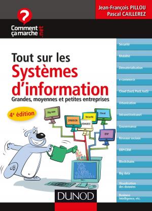 Cover of the book Tout sur les systèmes d'information - 4e éd. by Carole Tardif, Bruno Gepner