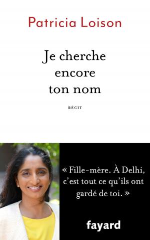 Cover of the book Je cherche encore ton nom by Gaspard-Marie Janvier
