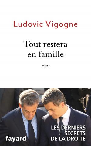 Cover of the book Tout restera en famille by Vanessa Barrot, Noël Balen