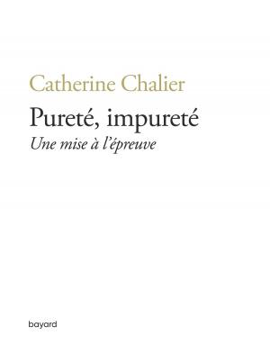 Cover of the book Pureté, impureté. Une mise à l'épreuve by Rachid Benzine, Christian Delorme