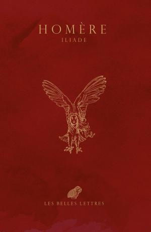 Cover of the book Iliade by Nicolas Mingasson
