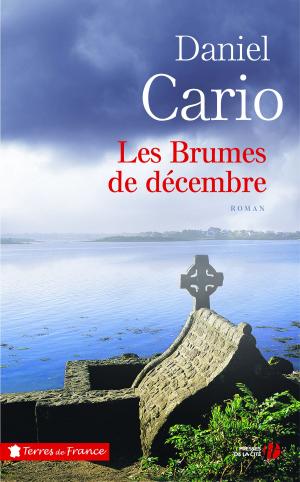Cover of the book Les Brumes de décembre by Bernard SIMONAY
