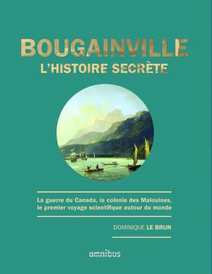 Cover of the book Bougainville, l'histoire secrète by Hannah RICHELL