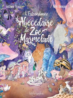 Cover of the book L'Extraordinaire abécédaire de Zoé Marmelade by Dzack, Gaby