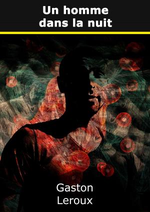 Cover of the book Un homme dans la nuit by Sean Black