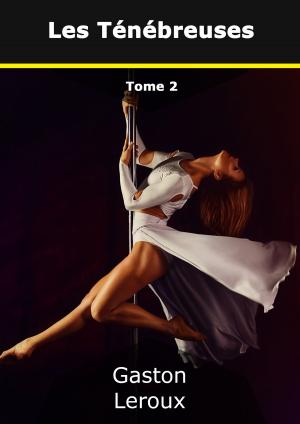 Cover of the book Les Ténébreuses by Tony vom Schloss