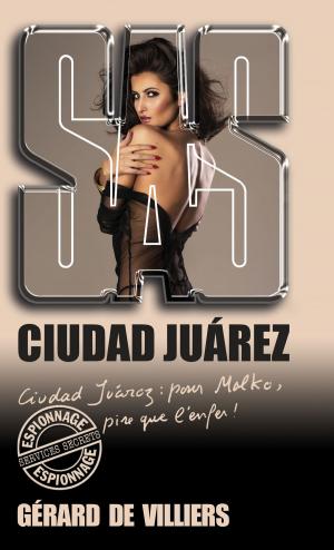 bigCover of the book SAS 190 Ciudad Juarez by 