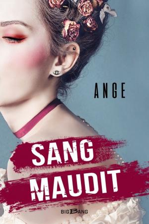 Cover of the book Sang maudit by Trudi Canavan