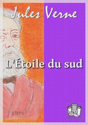 Cover of the book L'étoile du sud by Emile Zola