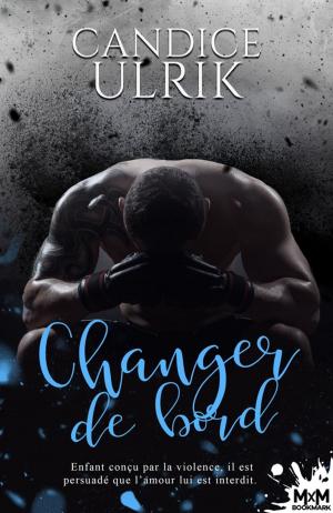 Cover of the book Changer de bord by Céline Guffroy