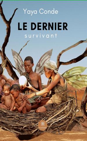 Cover of the book Le dernier Survivant by Jean-Christophe Vertheuil