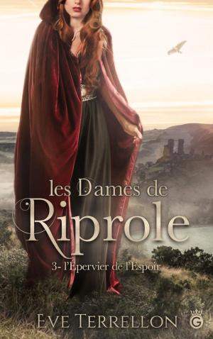 Book cover of L'Epervier de l'Espoir