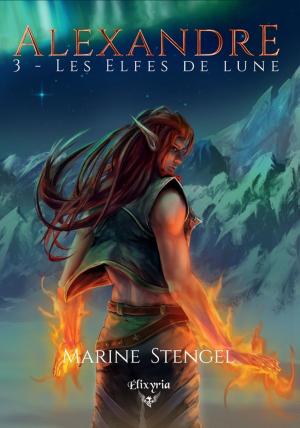 Cover of the book Alexandre by Natacha Pilorge