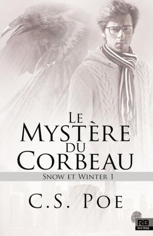 Book cover of Le mystère du Corbeau