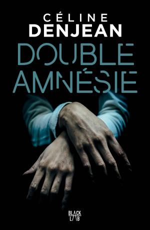 Cover of the book Double amnésie by Trish Deseine