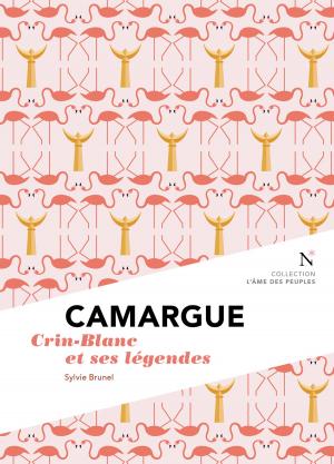 Cover of the book Camargue : Crin-Blanc et ses légendes by Damien Gildea