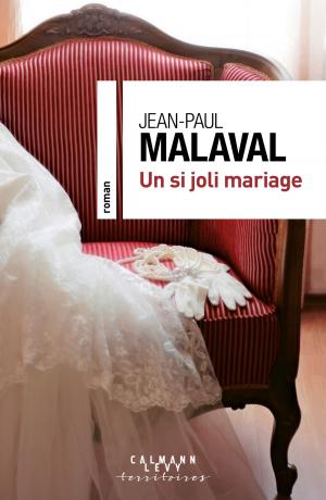Cover of the book Un si joli mariage by Karine Le Marchand