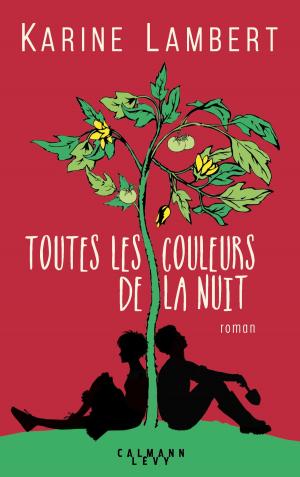 Cover of the book Toutes les couleurs de la nuit by Léo Rosten, Olivier Ranson