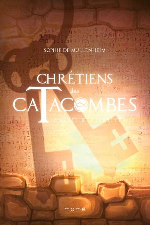 Cover of the book Le secret de la pierre gravée by Claire Freedman