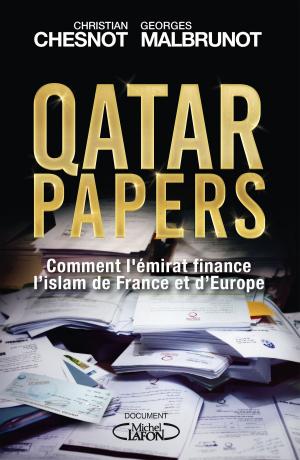 Cover of the book Qatar papers by Karine Lambert