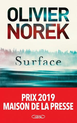 Cover of the book Surface by Patrick Weber
