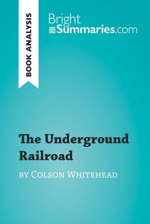 Cover of the book The Underground Railroad by Colson Whitehead (Book Analysis) by Bright Summaries