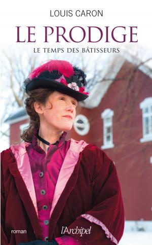 bigCover of the book Le temps des bâtisseurs T2 by 