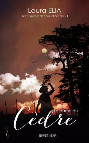 Cover of the book La dame au Cèdre by Angie L. Deryckère
