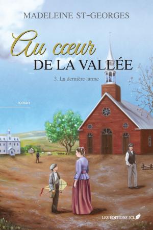 Cover of the book Au coeur de la vallée, T.3 by Madeleine St-Georges
