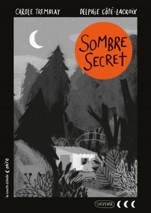 Cover of the book Sombre secret by François Gravel