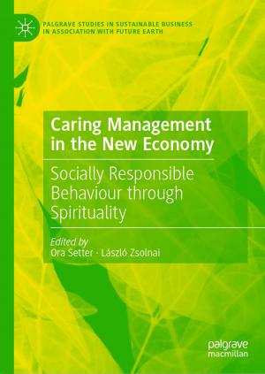 Cover of the book Caring Management in the New Economy by Yuri B. Zudin
