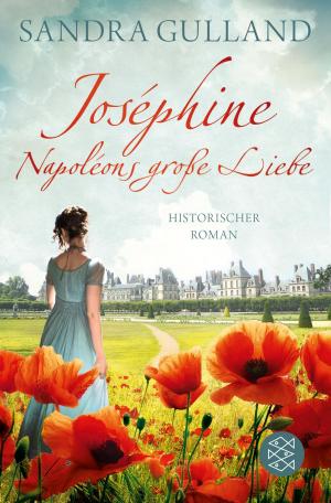 Cover of the book Joséphine - Napoléons große Liebe by V. E. Schwab