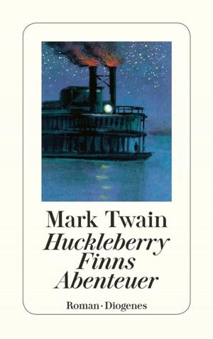 Cover of the book Huckleberry Finns Abenteuer by Lukas Hartmann