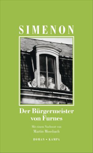 Book cover of Der Bürgermeister von Furnes