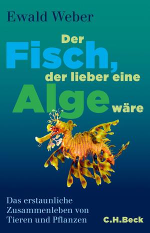 Cover of the book Der Fisch, der lieber eine Alge wäre by Katrine Marçal