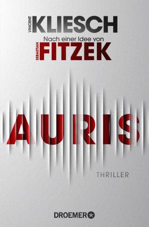 Cover of the book Auris by Petra van Laak