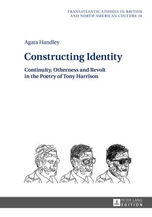 Cover of the book Constructing Identity by Susanne Renka