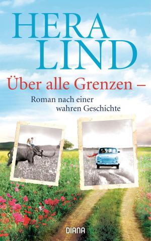 Cover of the book Über alle Grenzen by Brigitte Riebe