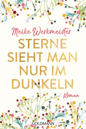 Cover of the book Sterne sieht man nur im Dunkeln by Andreas Gruber