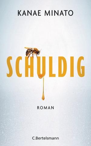 Book cover of Schuldig