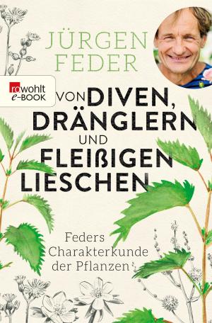 Cover of the book Von Diven, Dränglern und fleißigen Lieschen by Sandra Lorenzano
