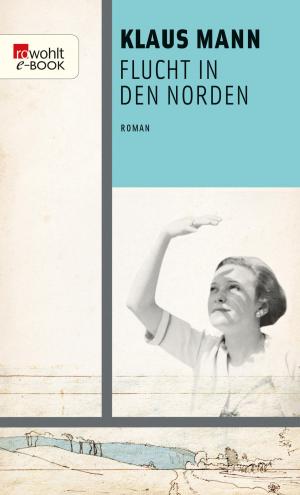 Book cover of Flucht in den Norden