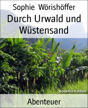 Cover of the book Durch Urwald und Wüstensand by Wilfried A. Hary